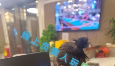 首页-腾龙集团公司TL11637.com[孟波官方网站]