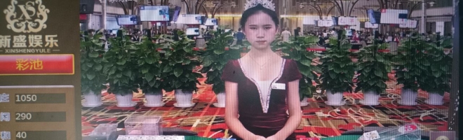 TL11637.com腾龙公司手机线上注册会员登陆app会员网址